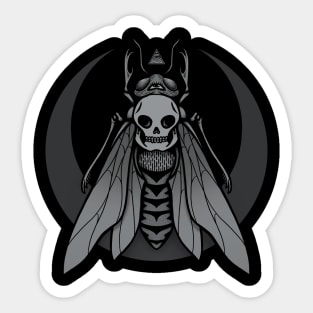 Occult Renewal Sticker